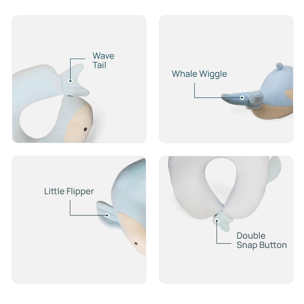 Flipi – Wavy Whale