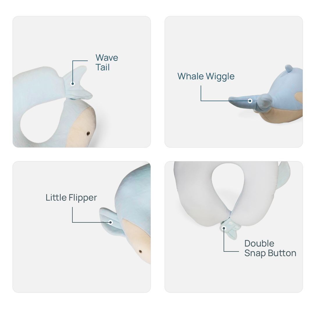 Flipi – Wavy Whale